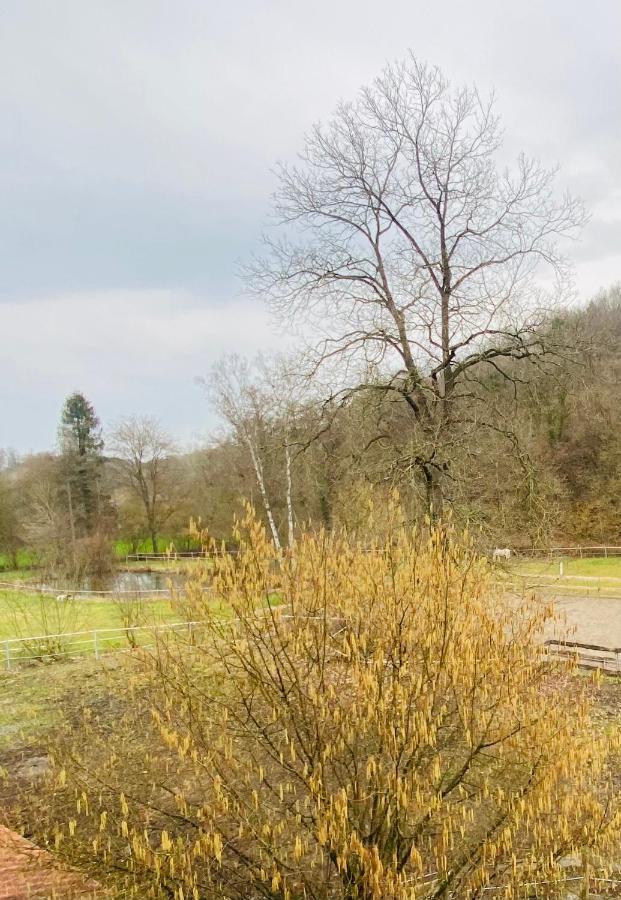 Le Ranch Des Aguesses Villa Andenne Екстериор снимка