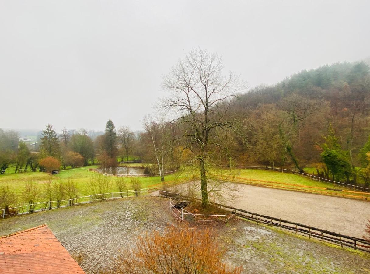 Le Ranch Des Aguesses Villa Andenne Екстериор снимка